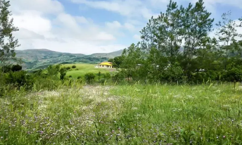 روستای داماش